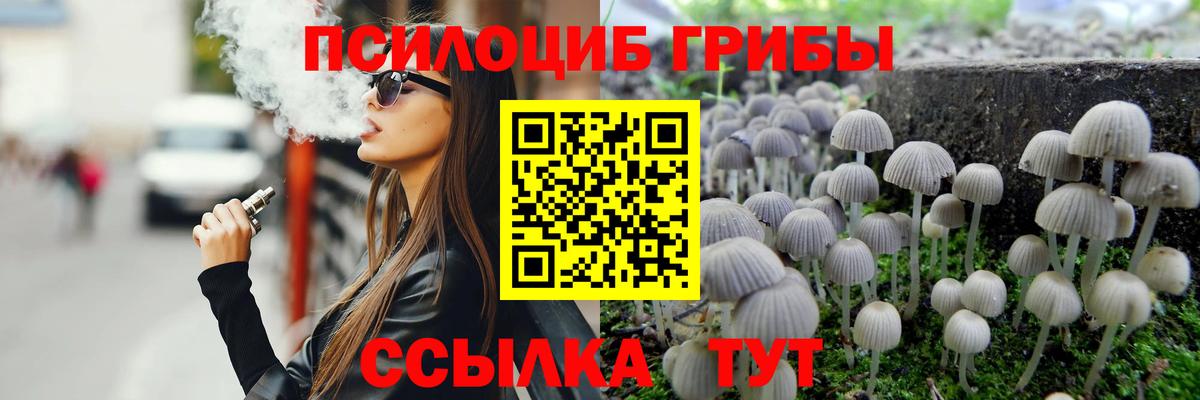 Югорск  Псилоцибиновые грибы Psilocybine cubensis  Галлюциногенные грибы прущие грибы  Вход с VPN 